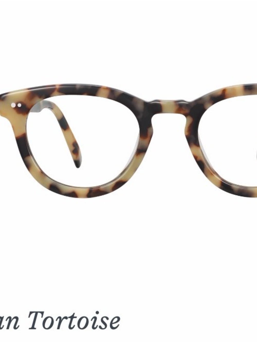 Warby Parker Tortoiseshell Acetate Frames